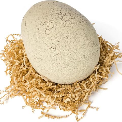 Primal Hatch T-Rex hatching, stage 1: the egg